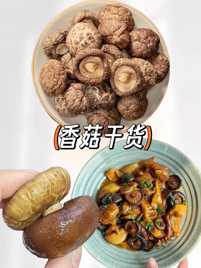 东莞食用菌选购指南：如何挑选高品质的美味佳肴