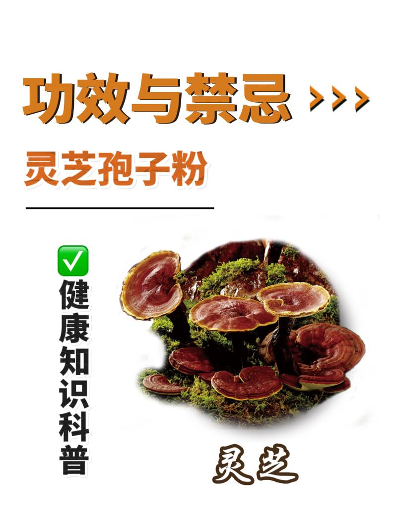 菌菇深加工：让传统食材焕发新生
