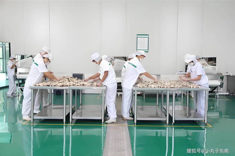 菌菇深加工